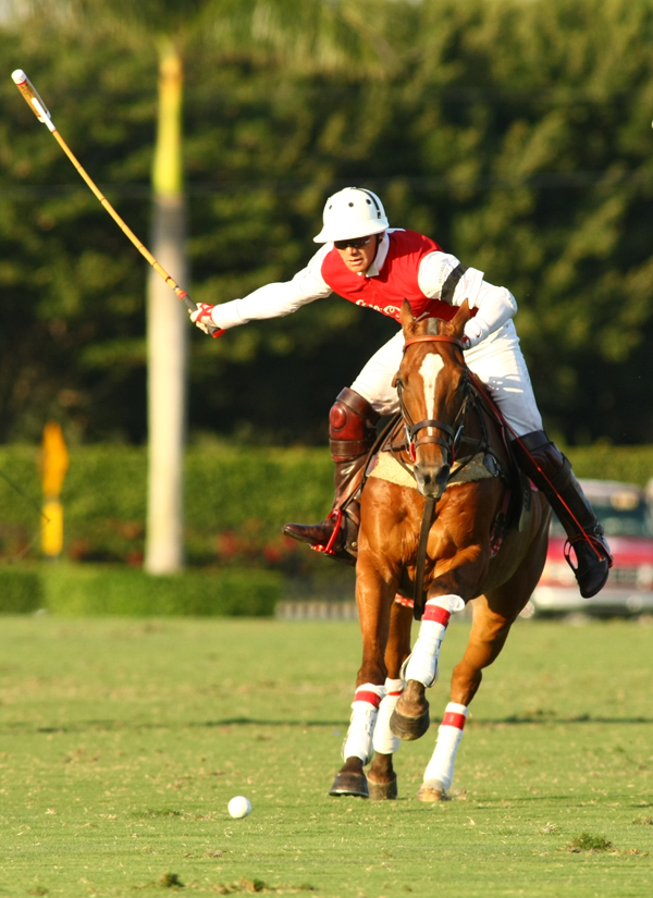 coca lechuza polo teams ipc polo club 2013 polo mag