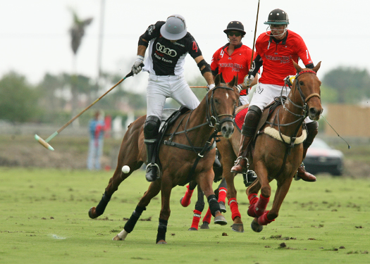 orchardhill polo team audi polo team ipc polo club alex pacheco polo photos