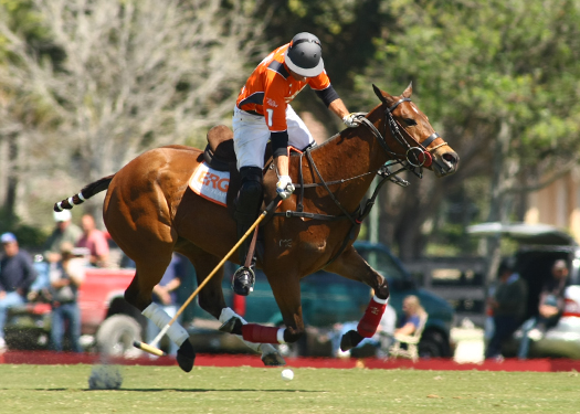 USPA Piaget Gold Cup photos