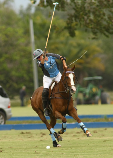 alexpachecopolo photos polo top polo tournament goose creeksanta clara poloteam