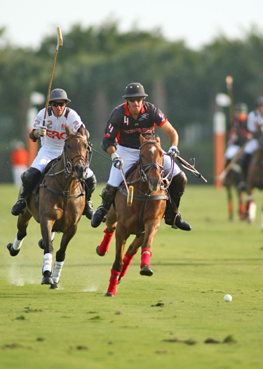 polo top polo tournament piaget gold cup polo teams polo usa polo club