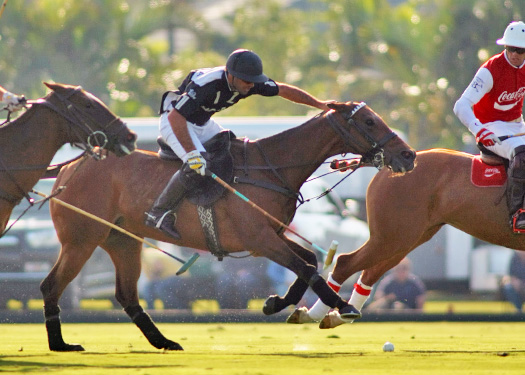 zacara coca polo teams polo gold cup ipc polo clu