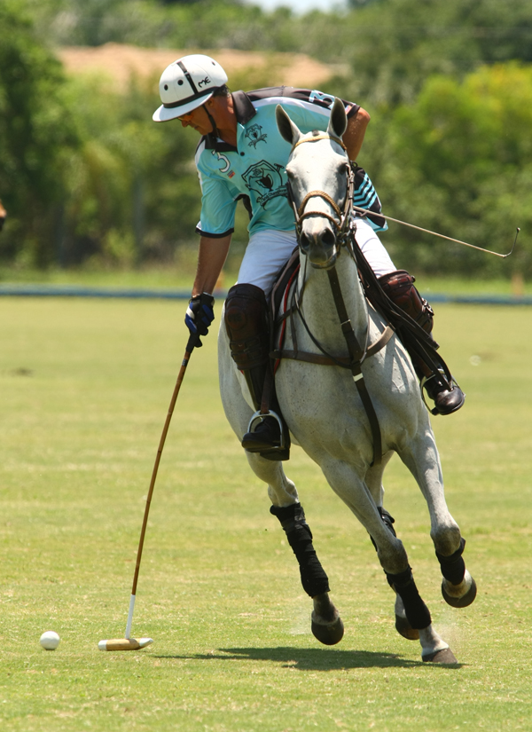 polosun