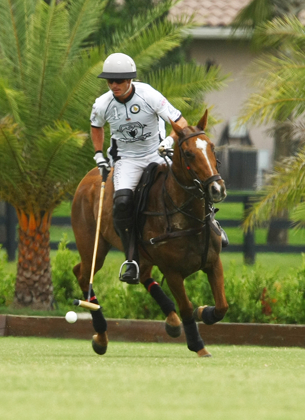 uspa sun cup final pacheco photos polo mag 8