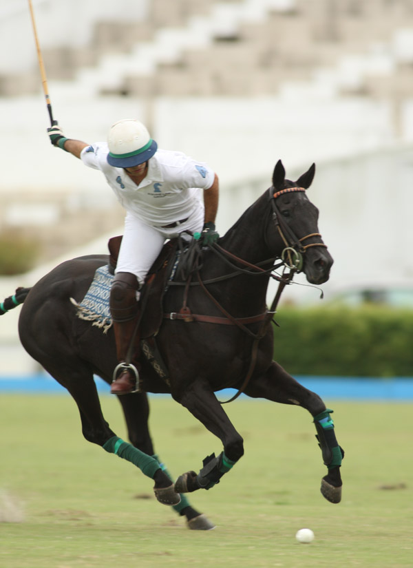 uspanorthamerican polocup berlinpolo elg 1