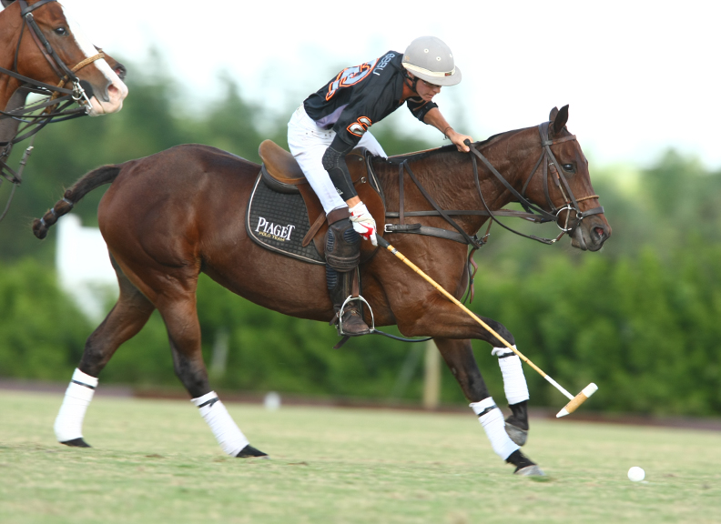 pedromorrisonpolotrophypolousapolomagazinepachecophotos2013 1