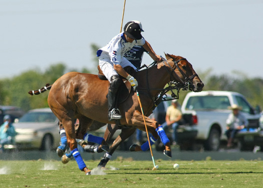 polo gold cup international polo club valiente mt brilliant polo teams alex pacheco photos polo magazine 3