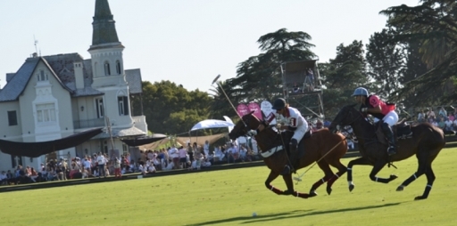 propolo